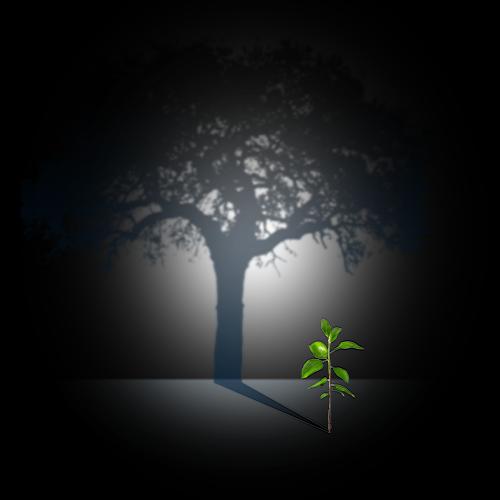صندوق بازنشستگی تکمیلی اندوخته آگاه